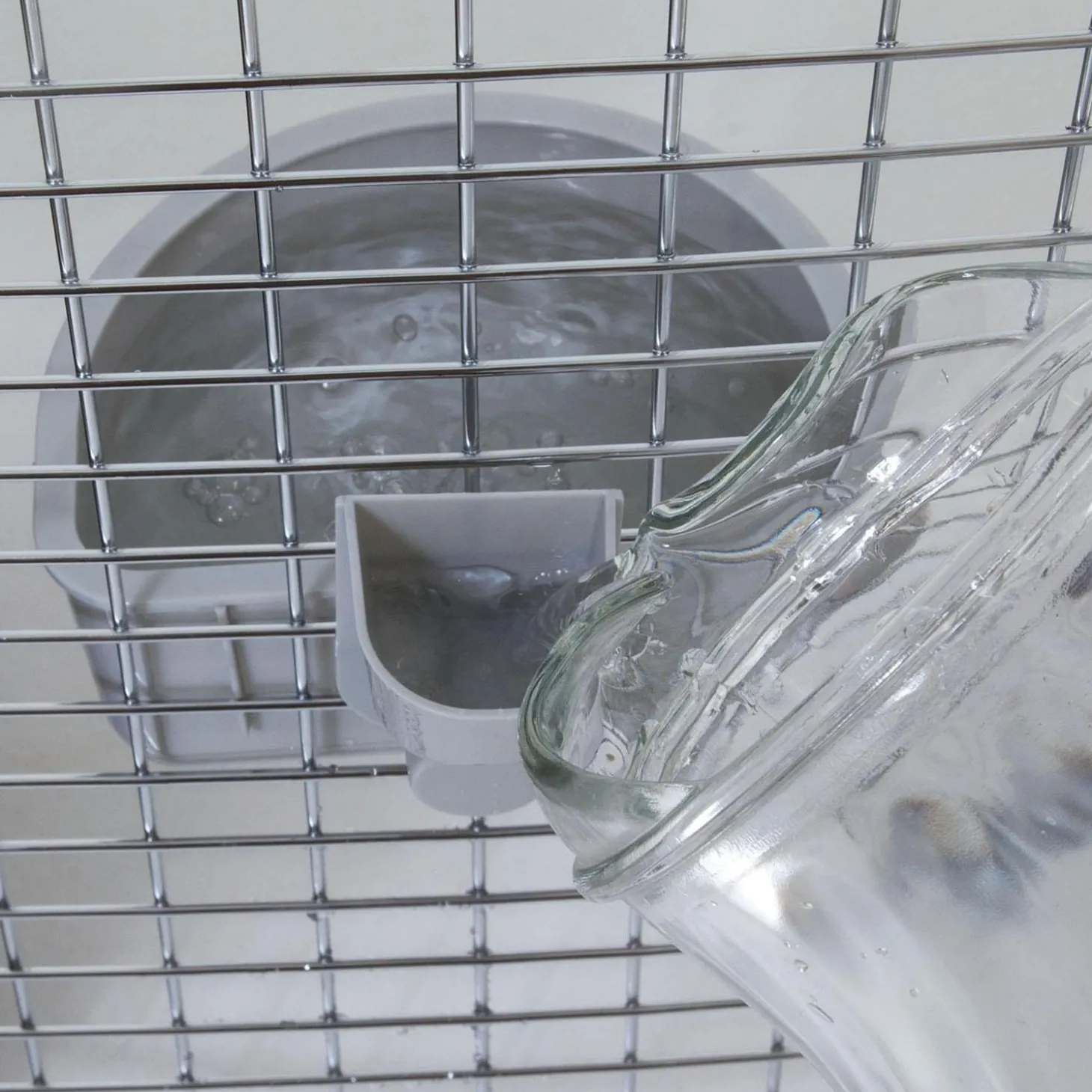No Spill Kennel Cup
