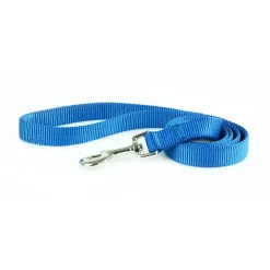 Nylon 5/8in Blue Dog Leash