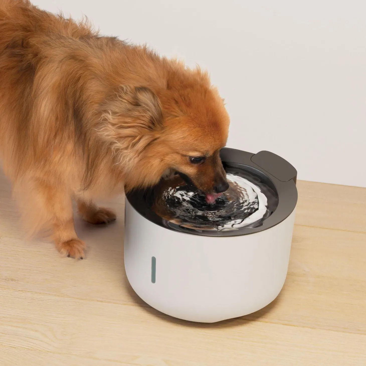 Oasis Light Grey Dog Fountain