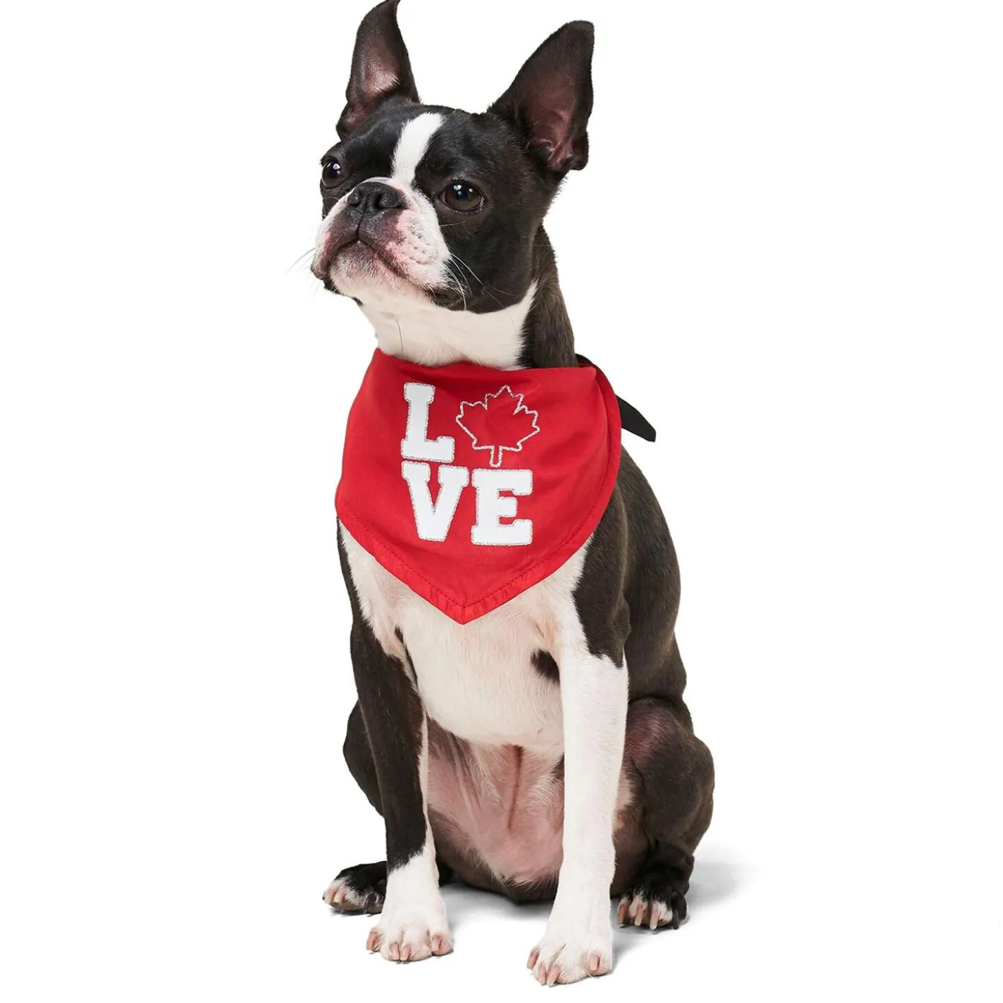 Oh Canada Love Dog Bandana