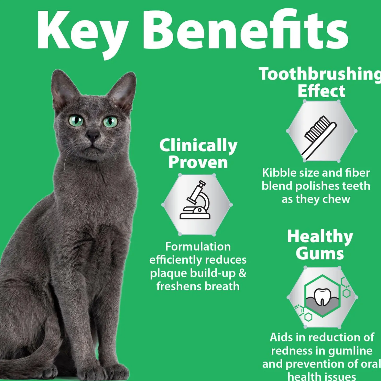 Oral Care Chicken & Rice Formula Adult Cat Food