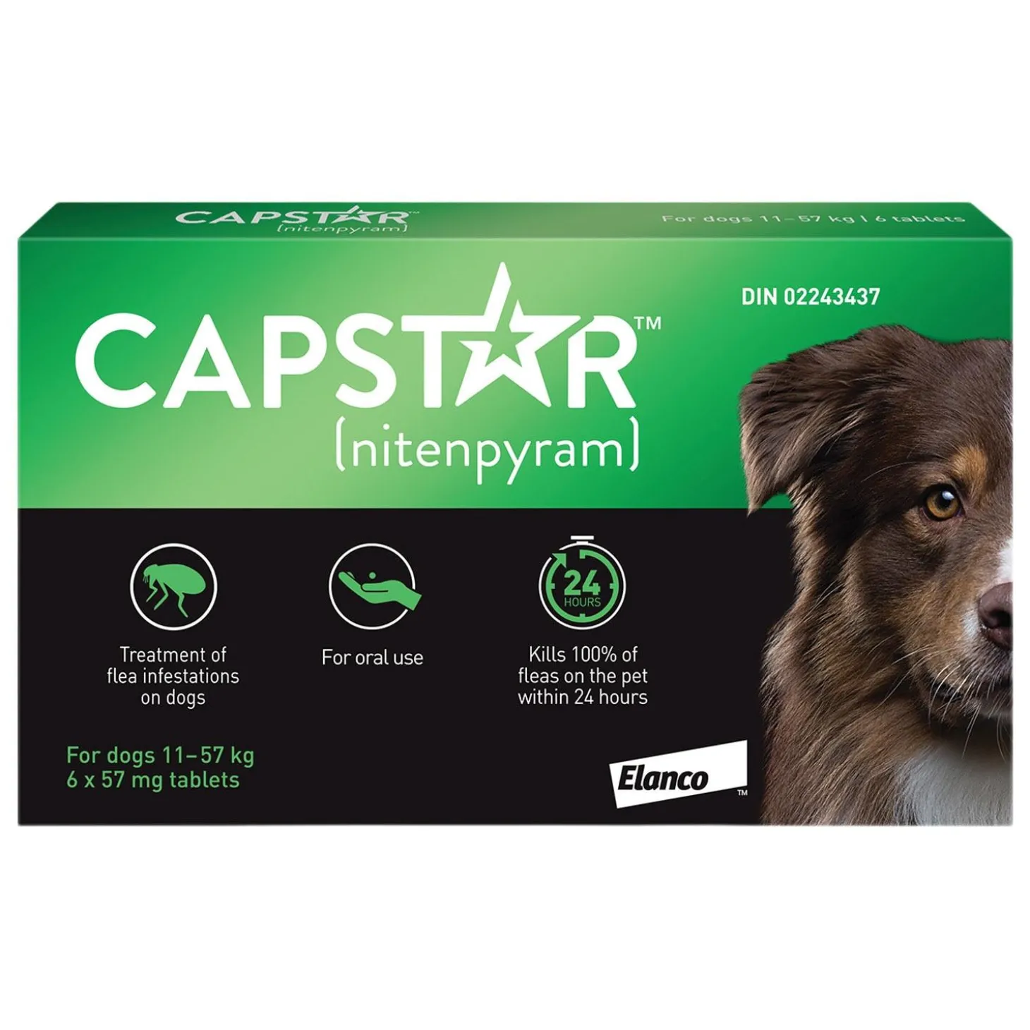 Oral Flea Medium & Large Dog Treatment