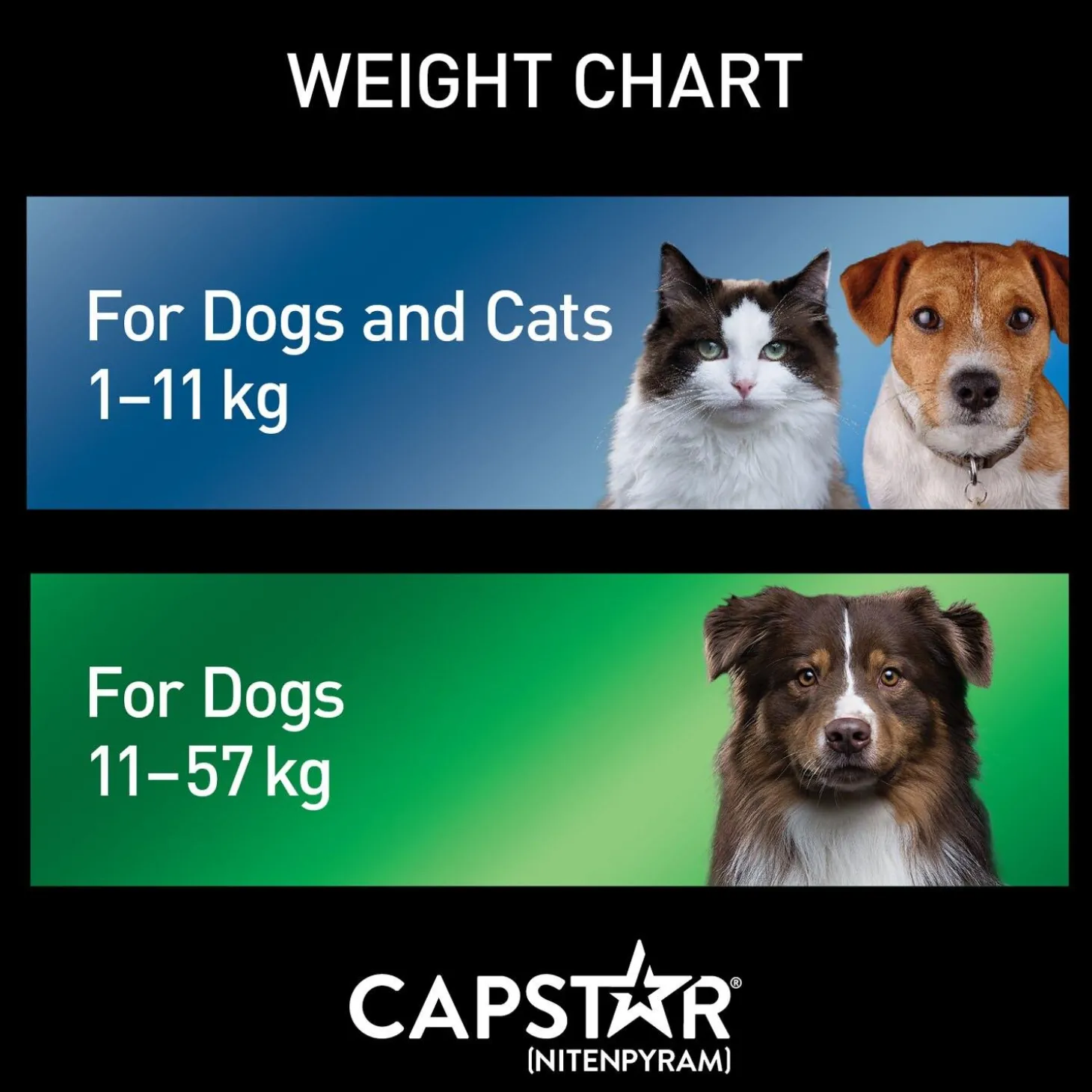 Oral Flea Medium & Large Dog Treatment