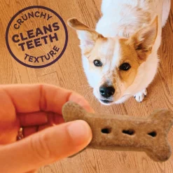Original Mix Large Dog Treats