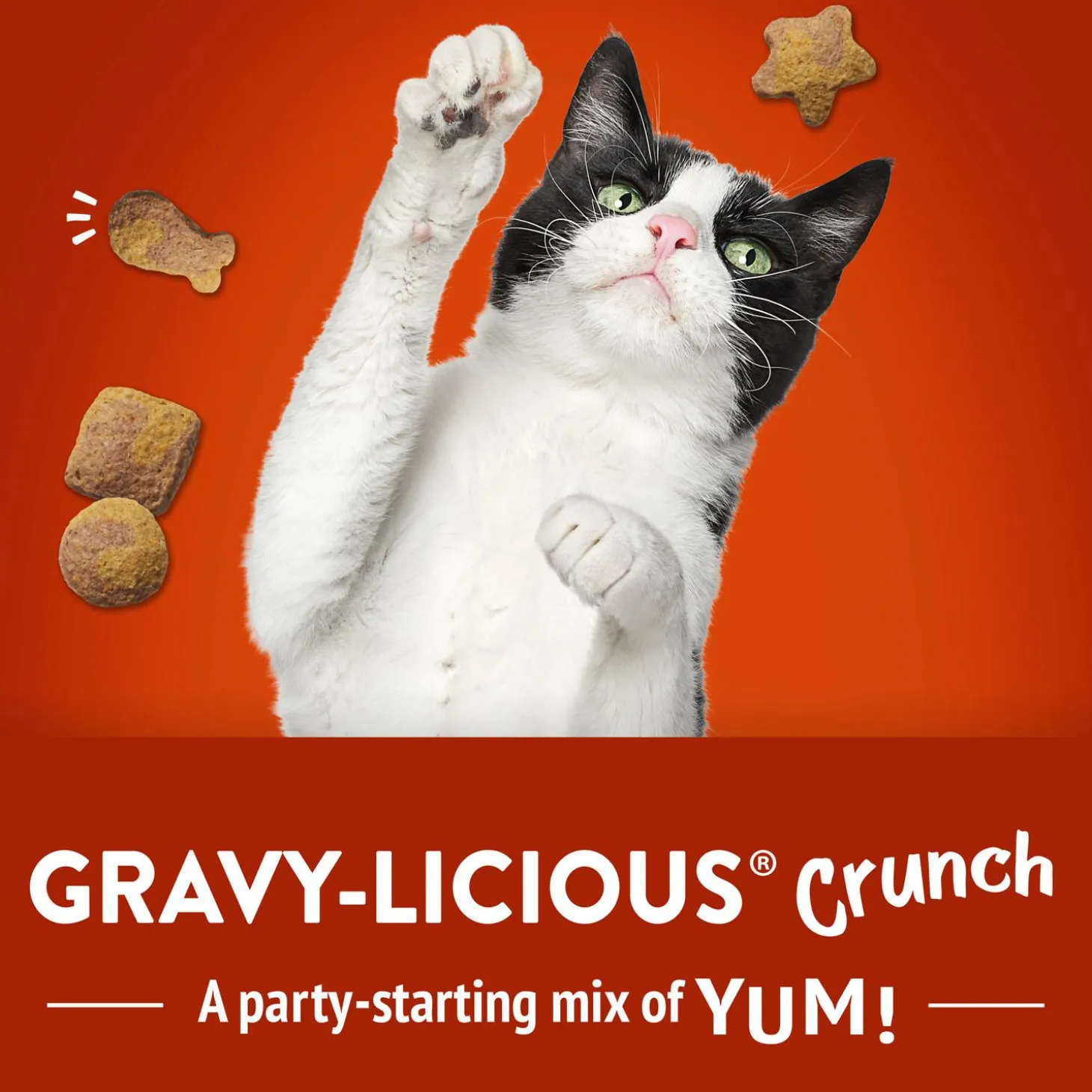 Party Mix Gravy-licious Chicken & Gravy Flavours Crunch Cat Treats