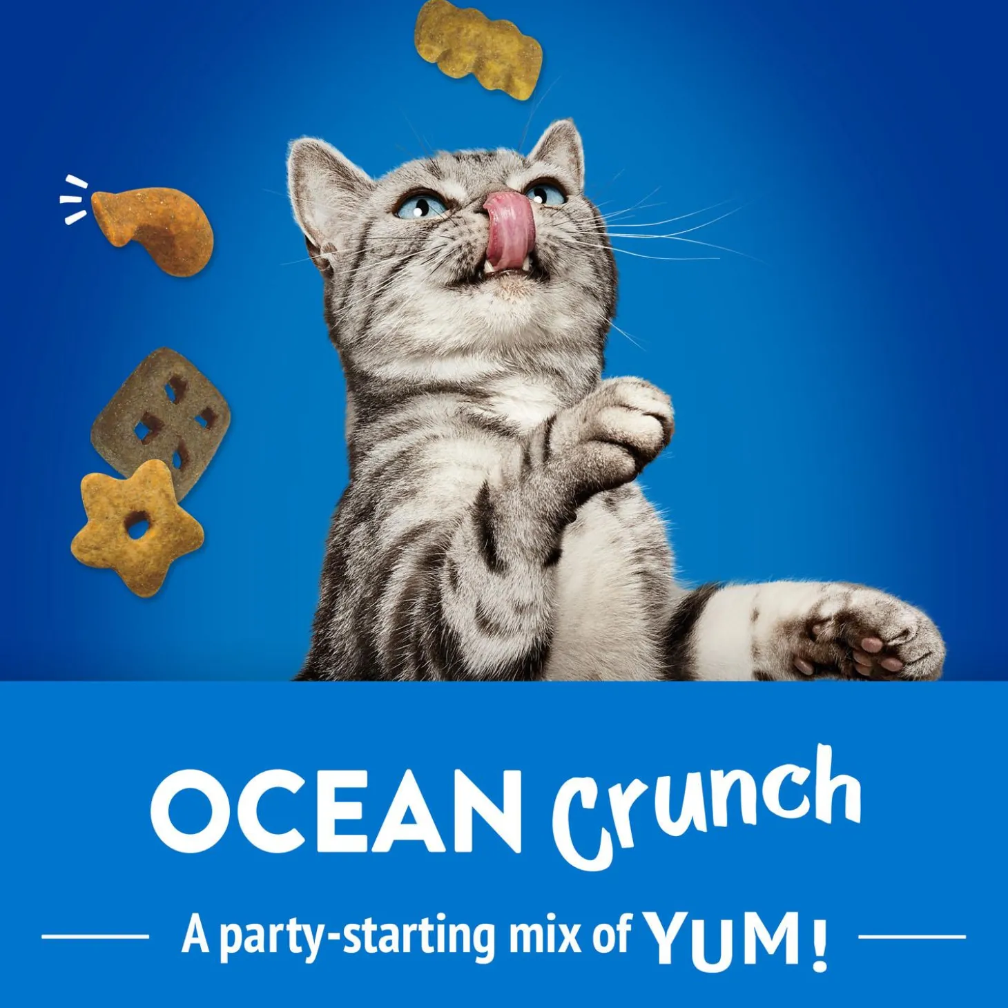 Party Mix Ocean Crunch Cat Treats