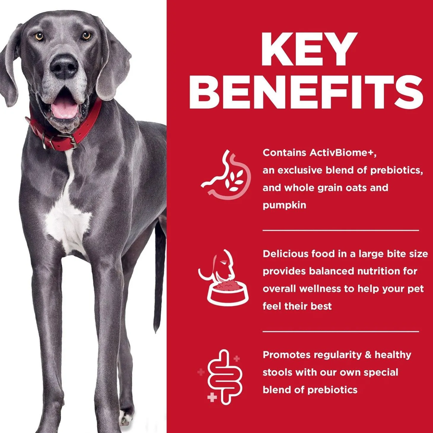 Perfect Digestion Chicken Brown Rice & Whole Oats Recipe Large Breed Adult Dog Food