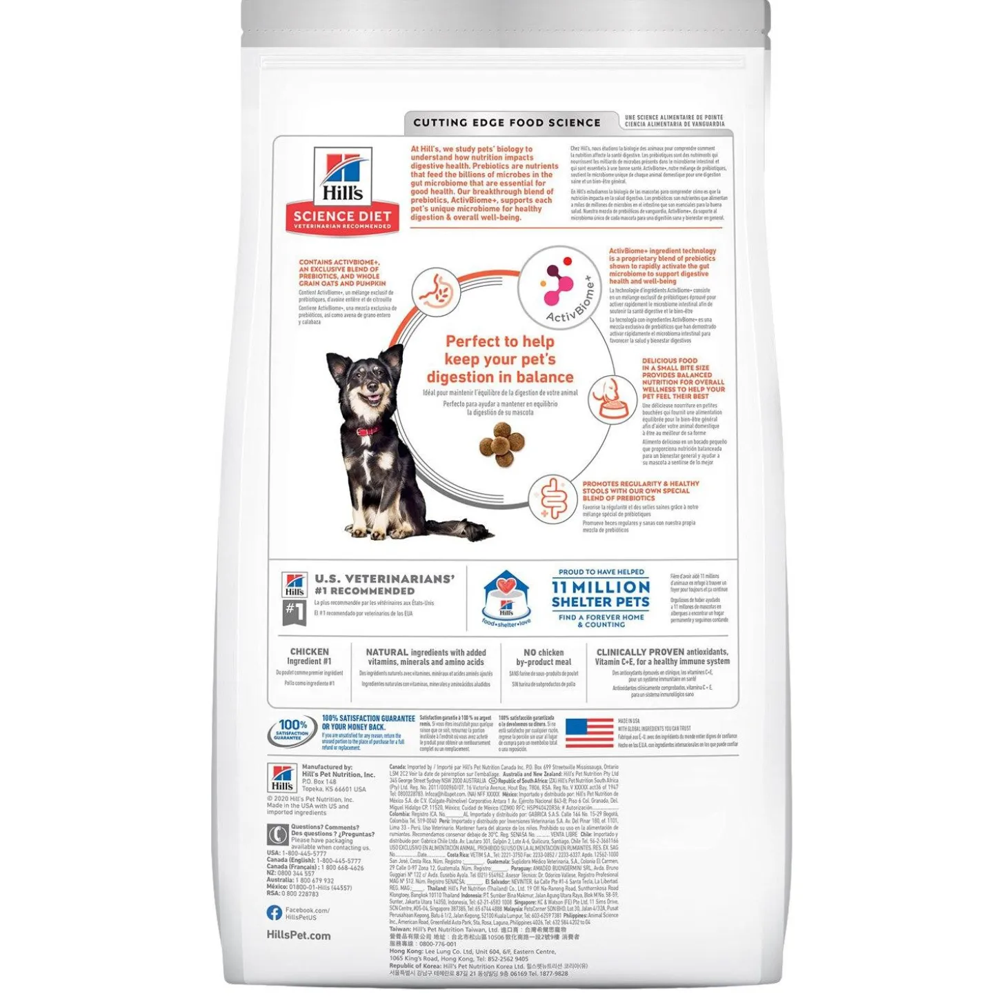 Perfect Digestion Small Bites Chicken Brown Rice & Whole Oats Recipe Adult Dog Food