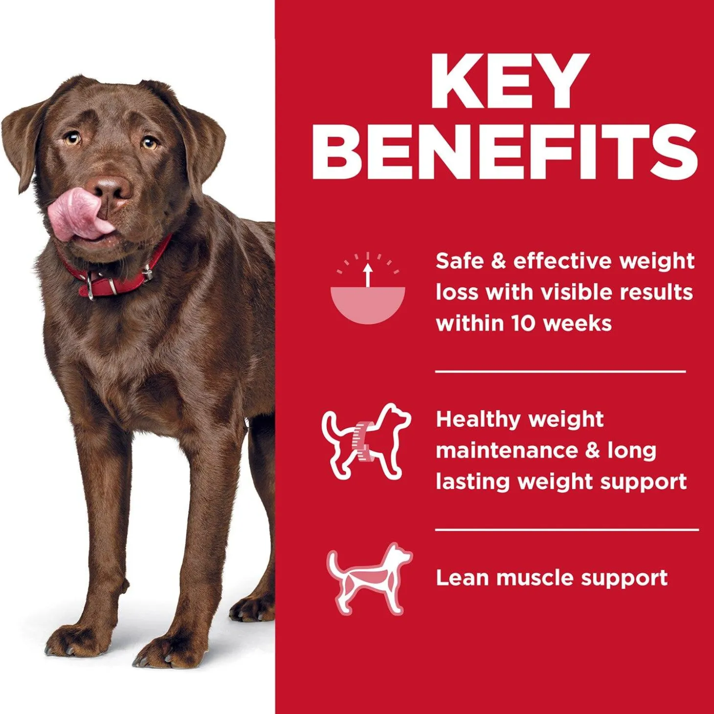 Perfect Weight Chicken Recipe Large Breed Adult Dog Food