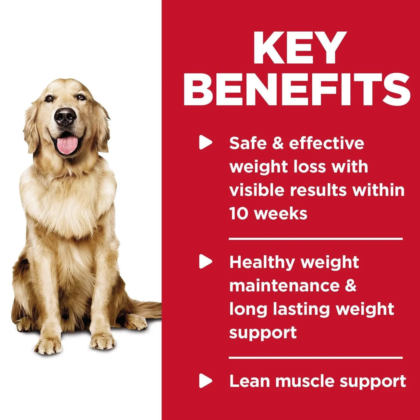 Perfect Weight Hearty Vegetable & Chicken Stew Adult Dog Food