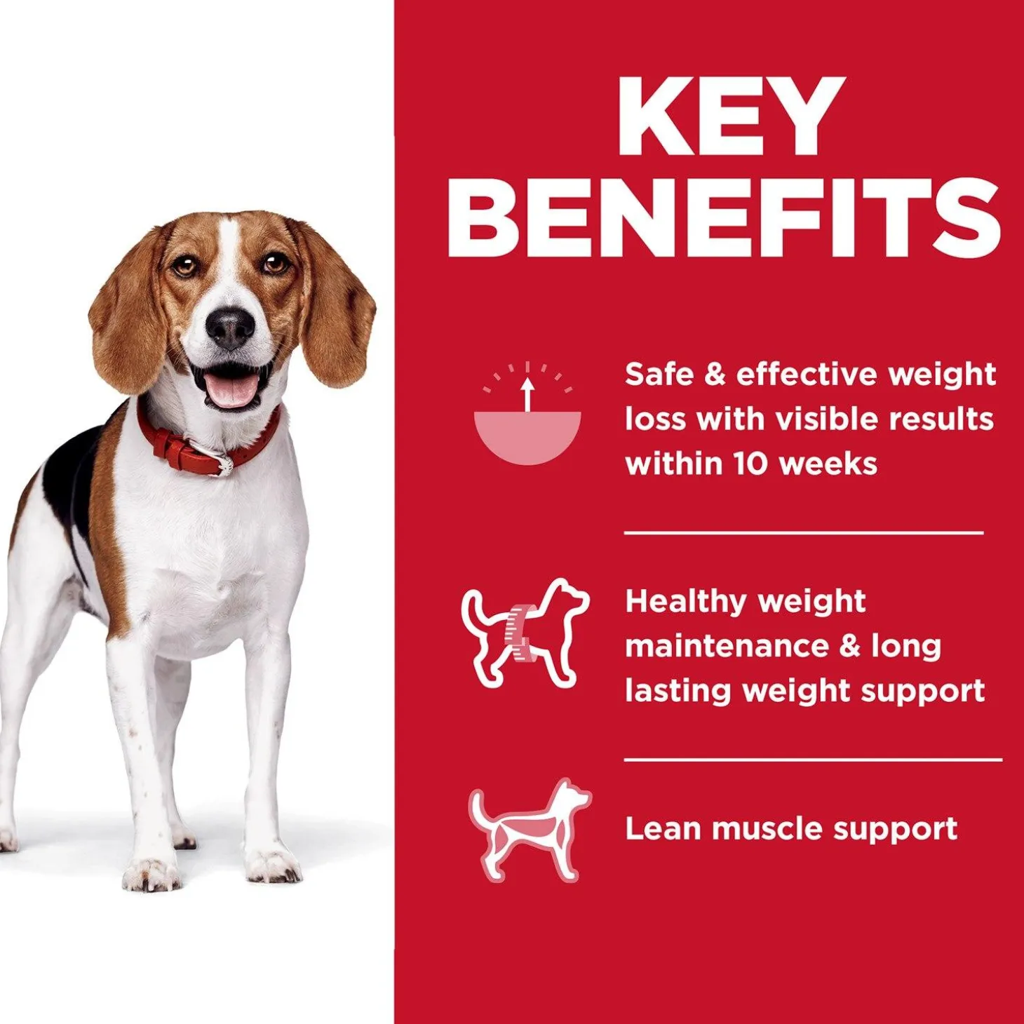 Perfect Weight Small Bites Chicken Recipe Adult Dog Food