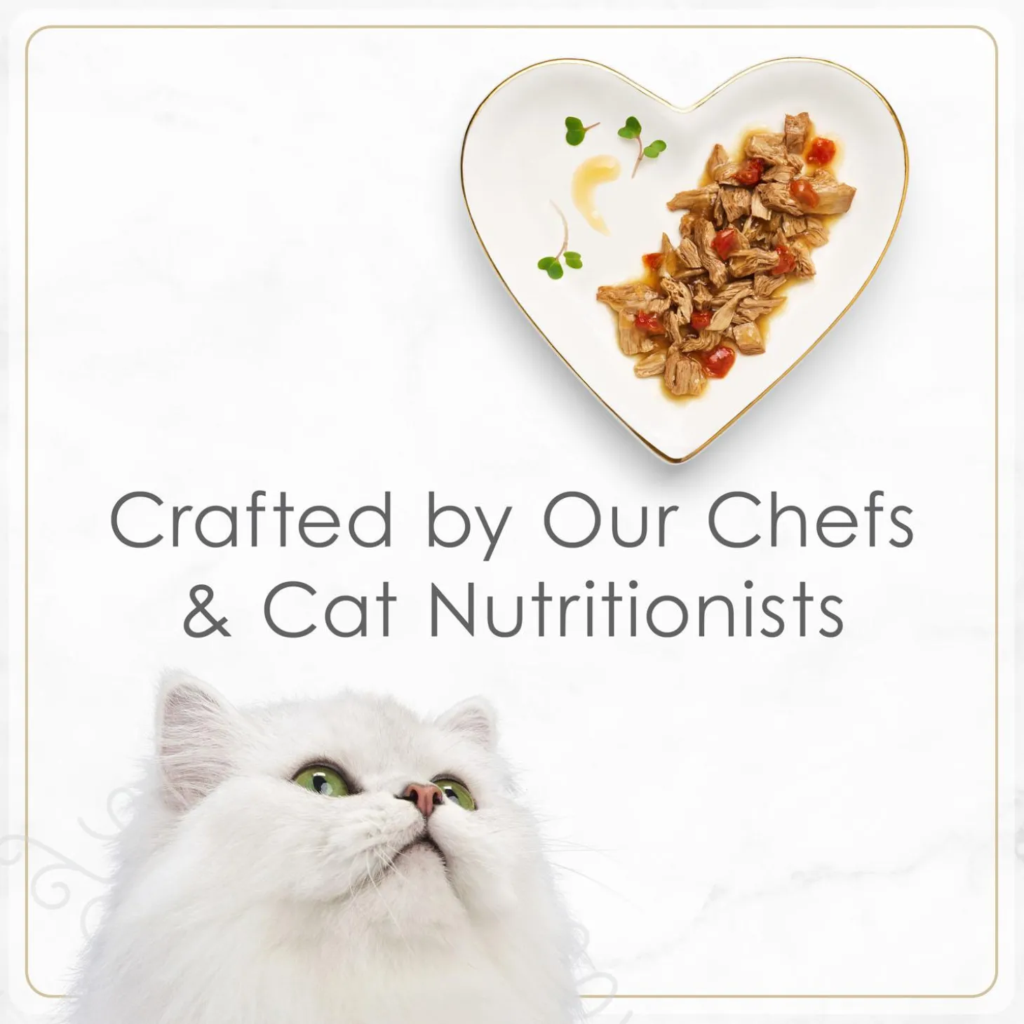 Petites Grilled Chicken Entree in Gravy Adult Cat Food