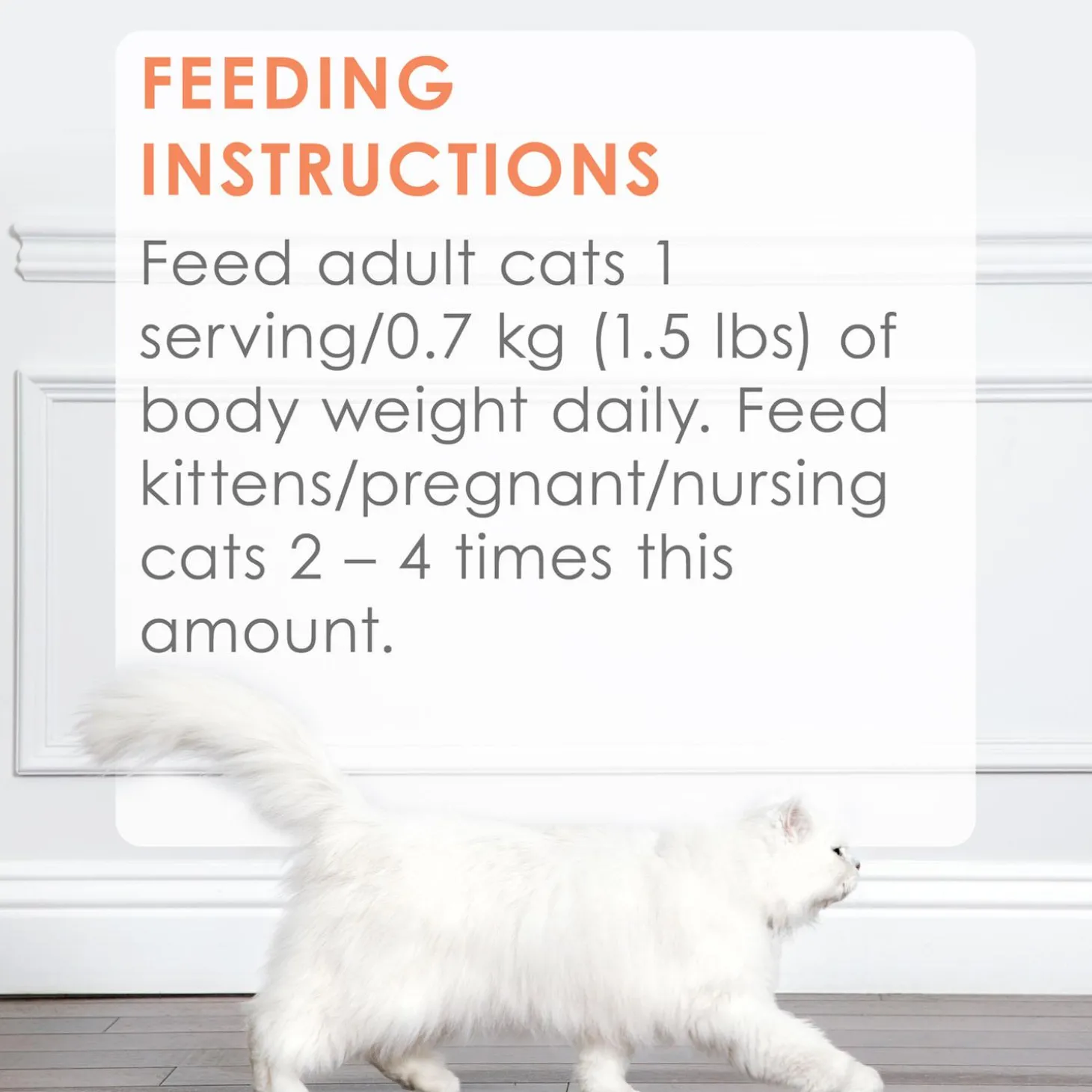Petites Wild Alaskan Salmon Entree Adult Cat Food