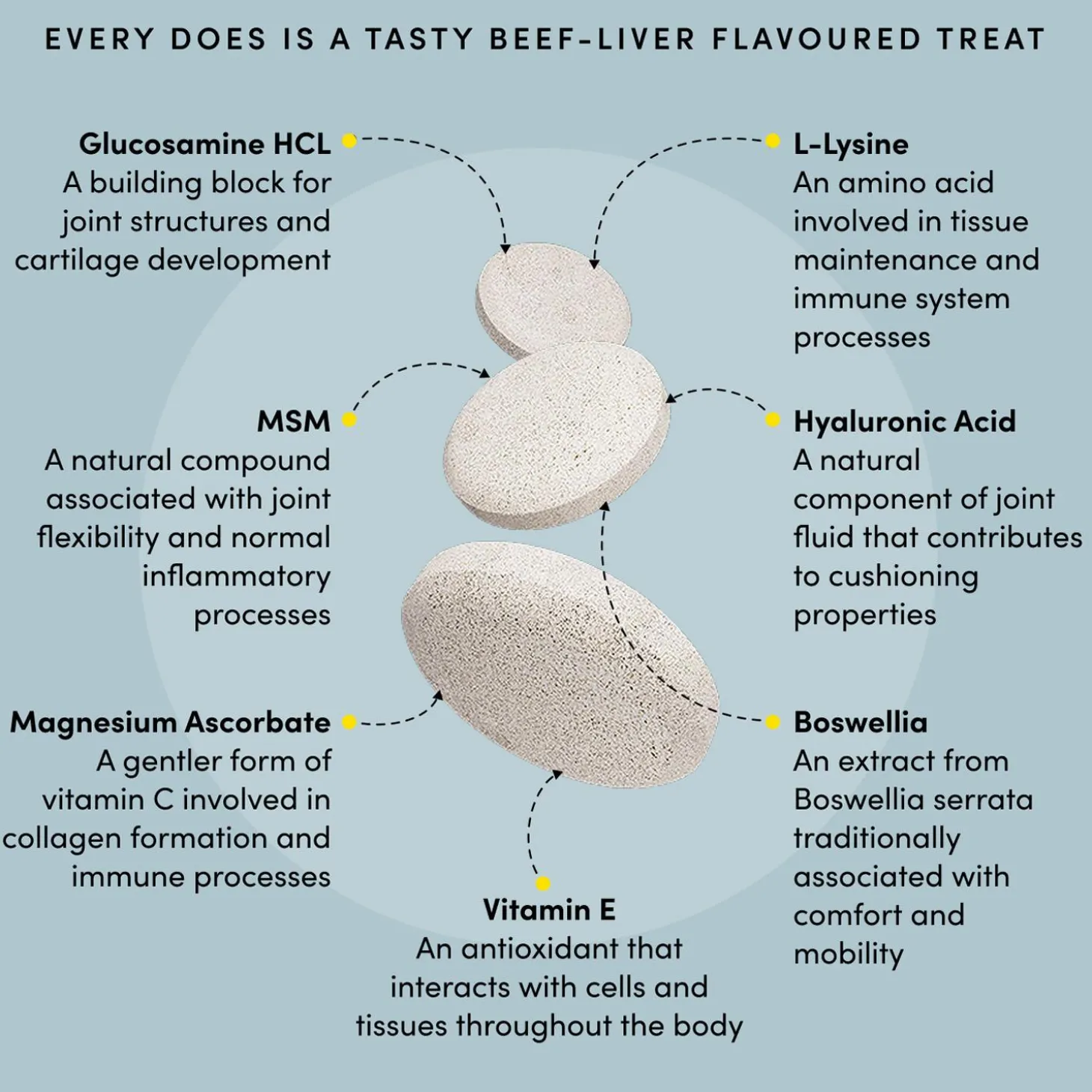 Pet Recovery Extra Strength Advanced Mobility Formula Beef Liver Flavoured Pet Supplements