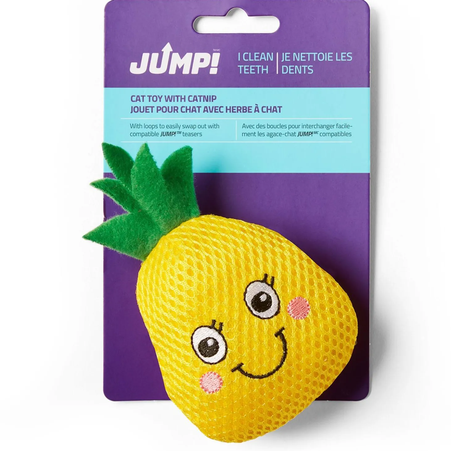 Pineapple Dental Cat Toy