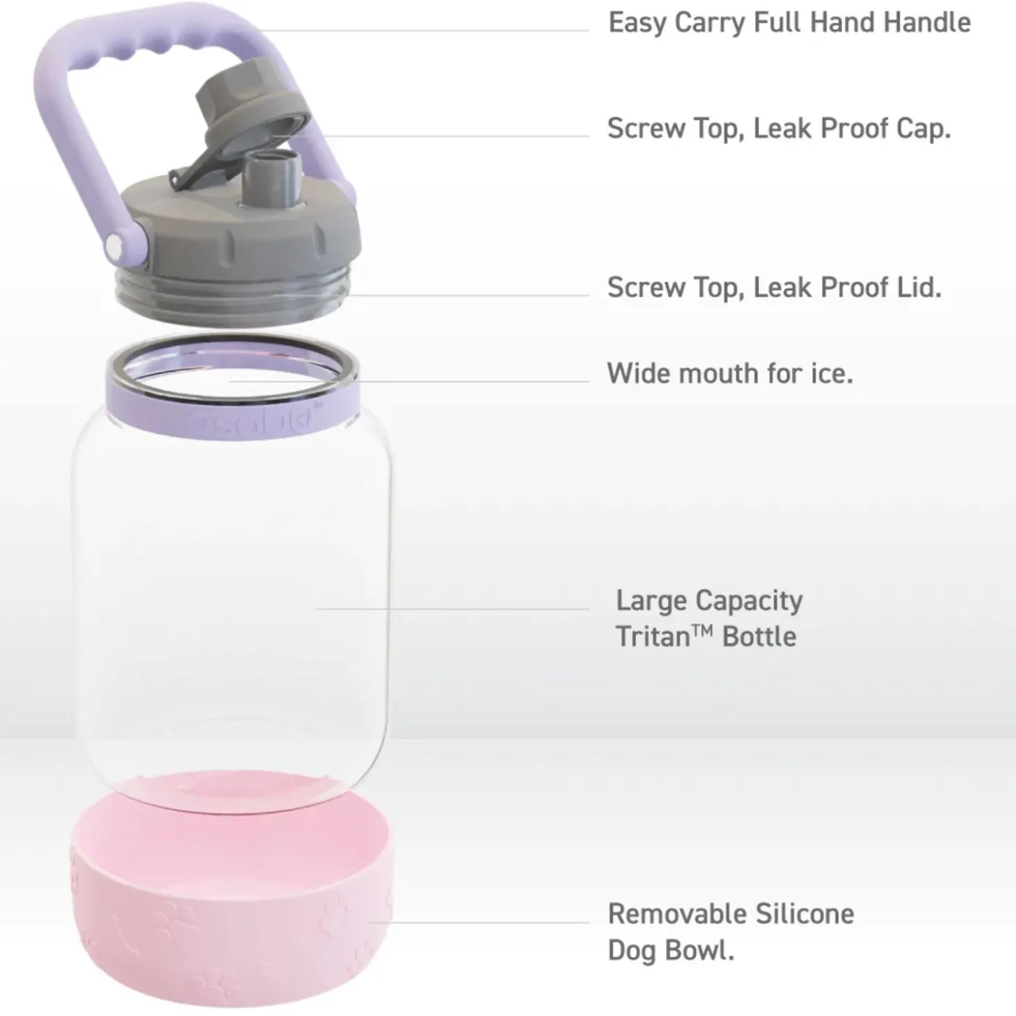 Pink Barkley Bottle