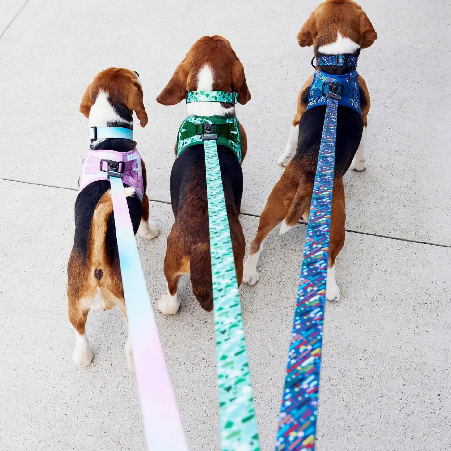 Pink Tie Dye Dog Leash
