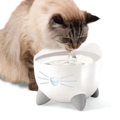 PIXI Stainless Steel Fountain
