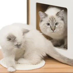 PIXI Vesper Double Walnut Cat Tree