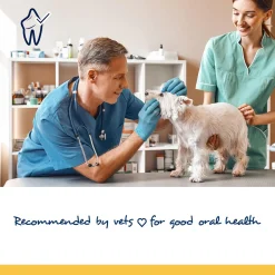 PlaqueOff Small-Medium Dog & Cat Soft Chews