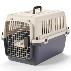 Plastic Carrier