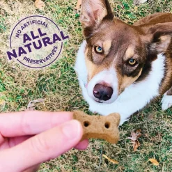 P-Nuttier Mini Dog Treats