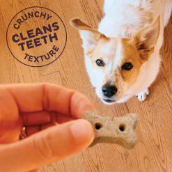 P-Nuttier Small Dog Treats
