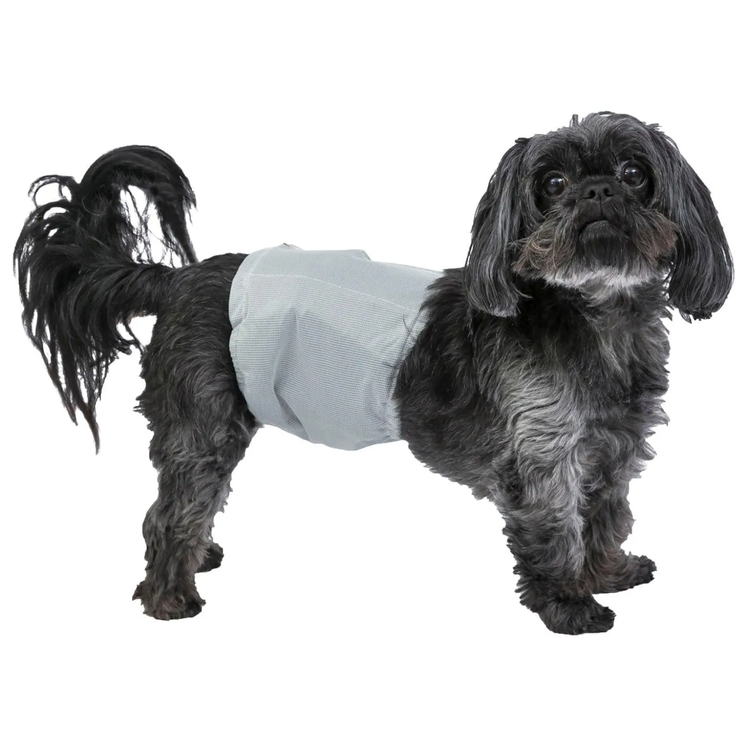 PoochPants Reusable Male Wrap