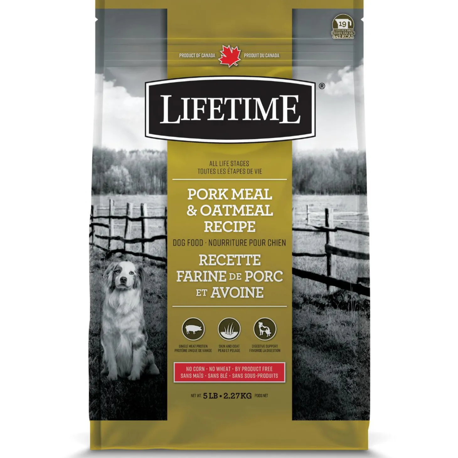 Pork Meal & Oatmeal Recipe Dog Food
