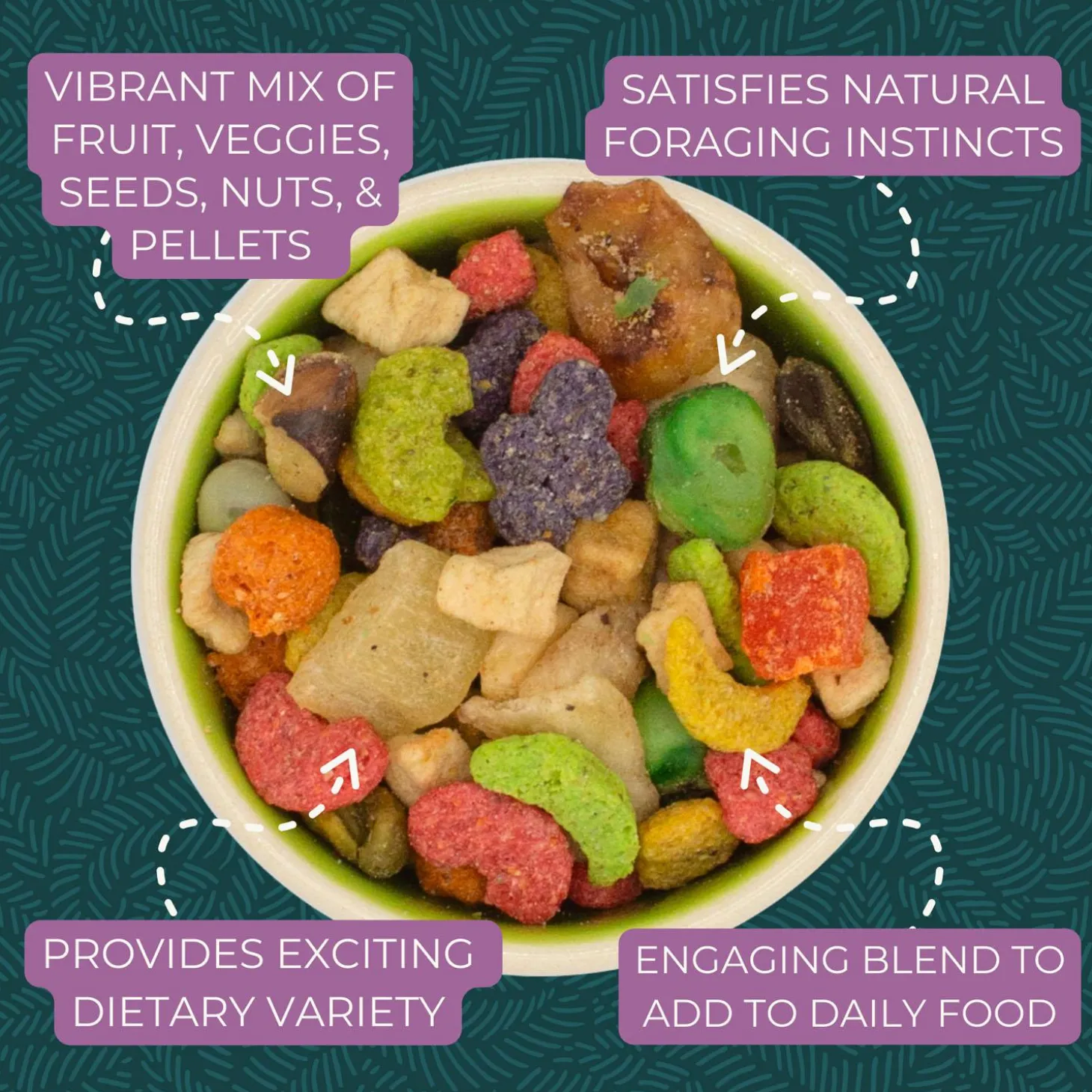 Pure Fun Medium Bird Food