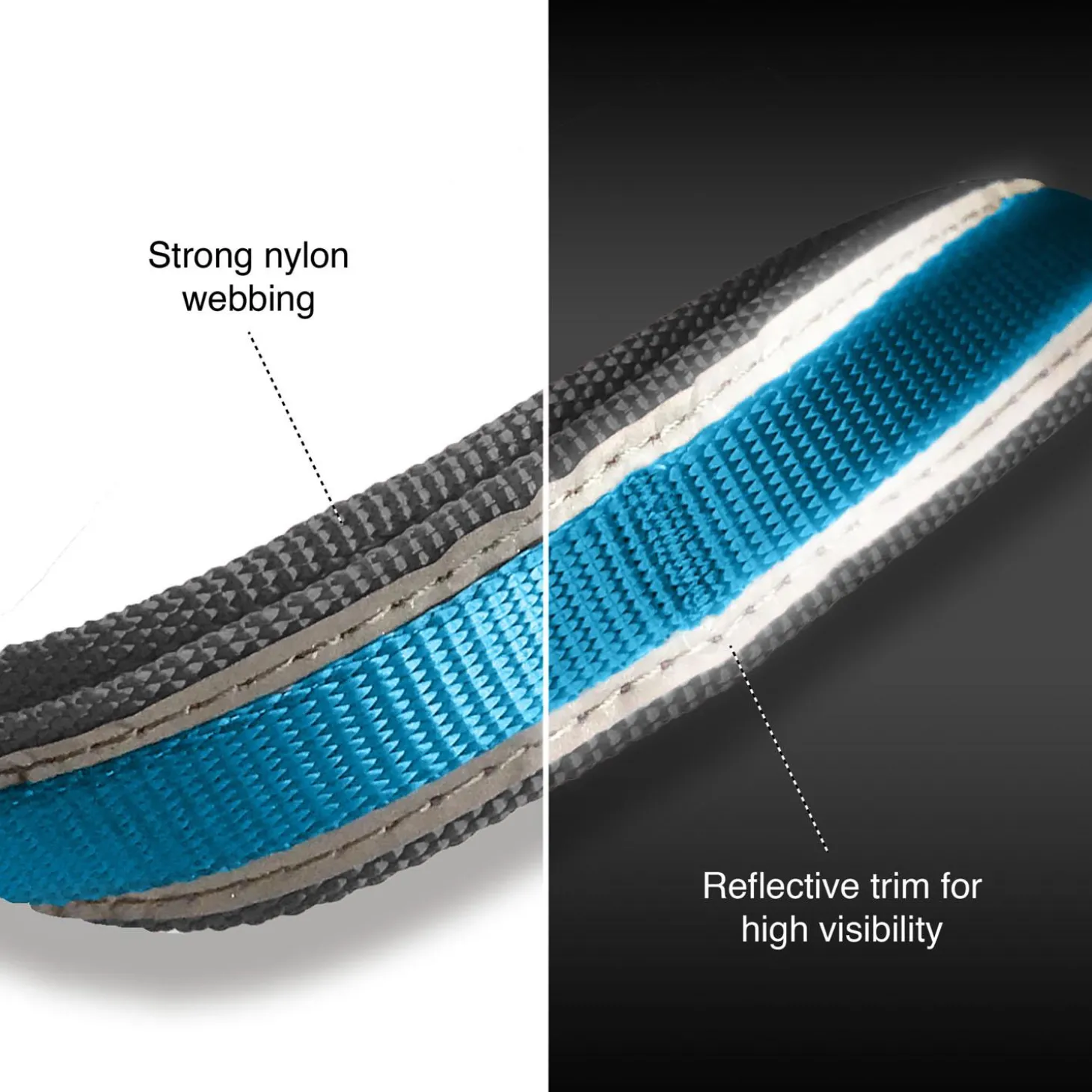 Quantum 1in Blue Dog Leash