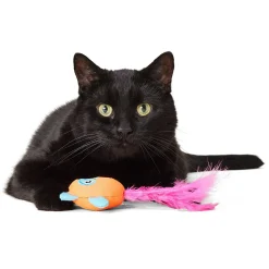 Raccoon Cat Toy
