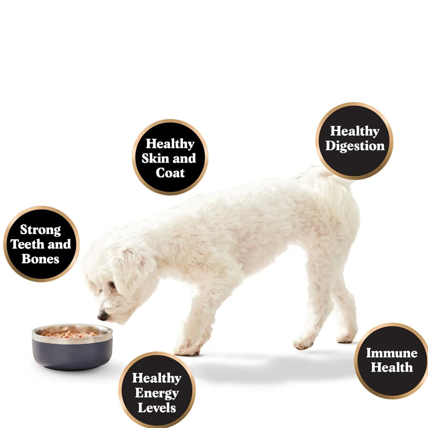Raw Beef Dinner Adult Dog Food