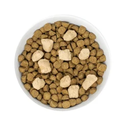 Raw Blend Wholesome Grain Cage-Free with Pumpkin & Quinoa Recipe Dog Food