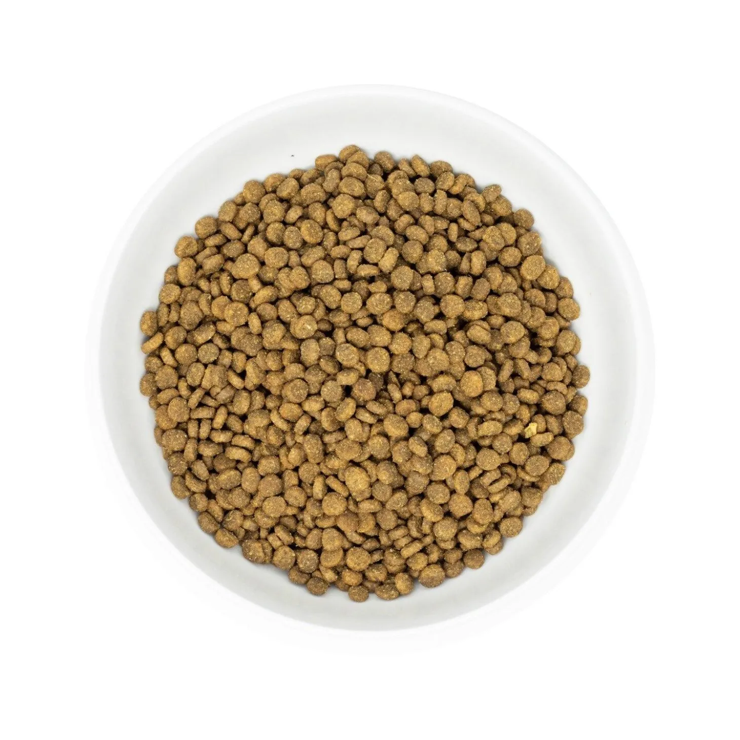 Raw Coated Cage Free Chicken Recipe Cat Food