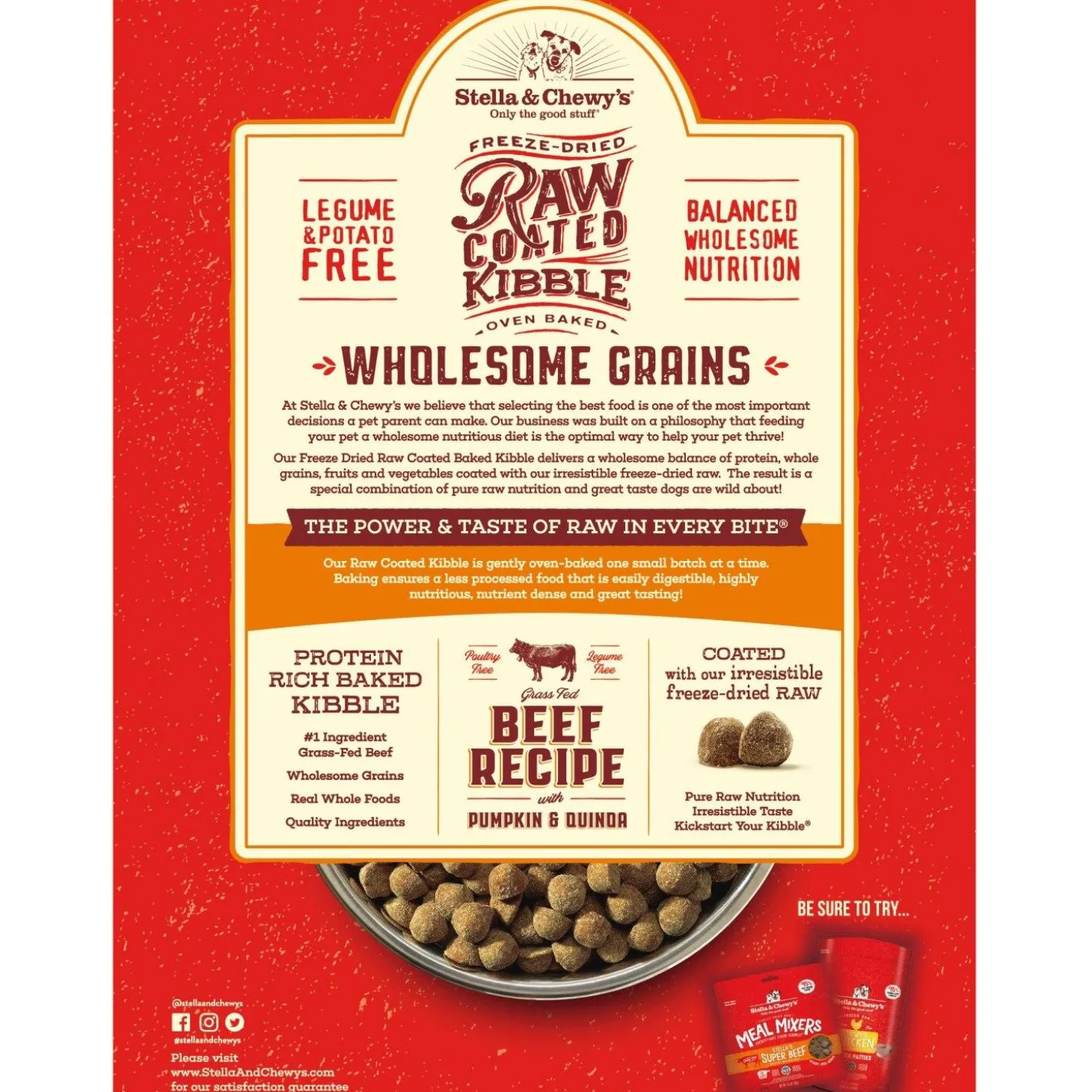Raw Coated Wholesome Grain Beef Recipe Dog Food