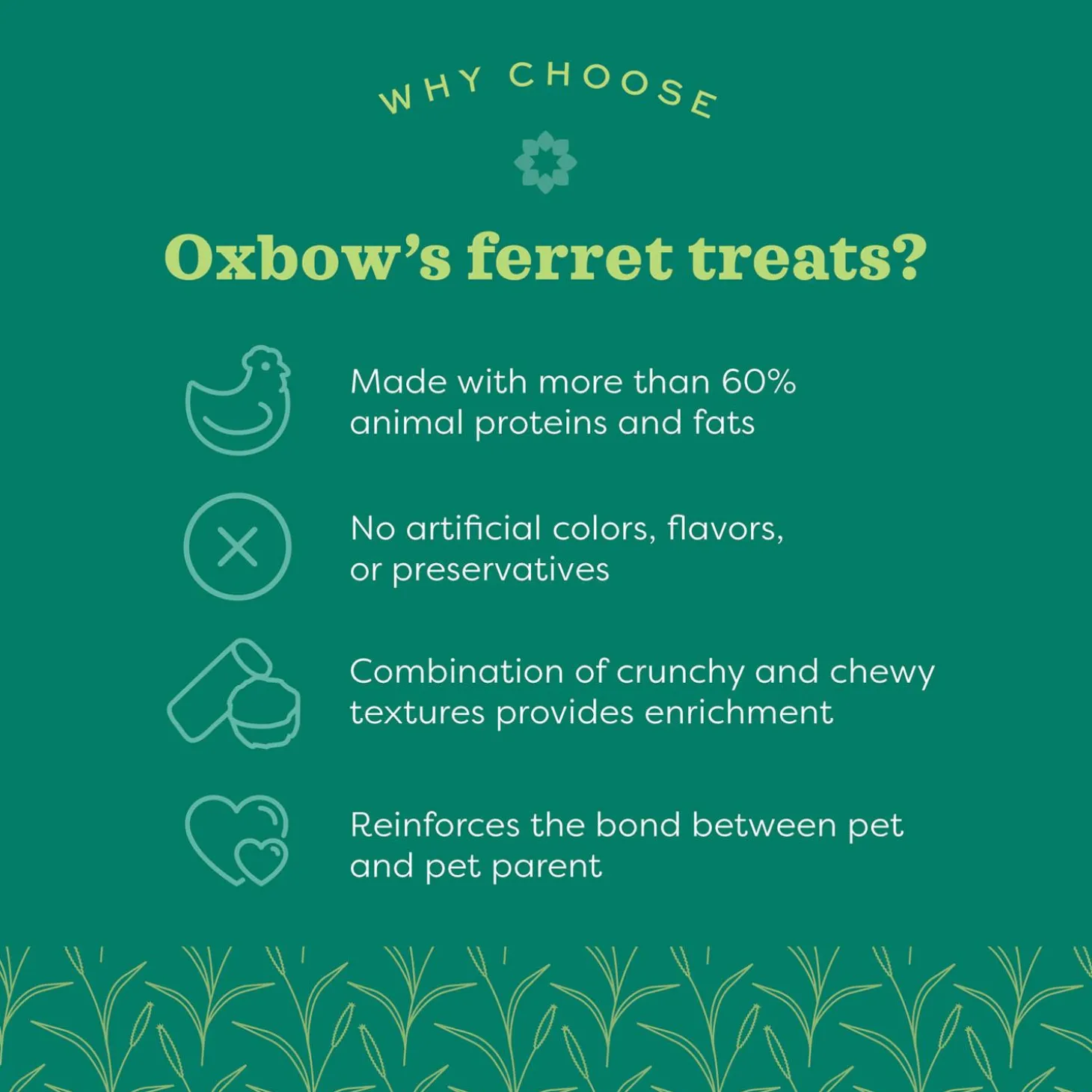 Real Prey Rewards Chicken Flavour Ferret Treats