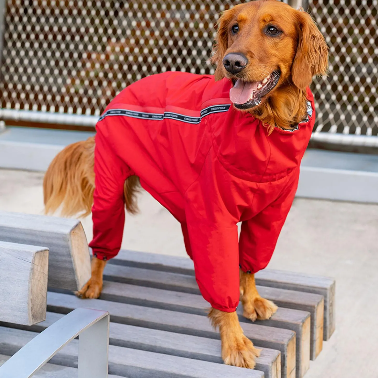 Red Snowsuit