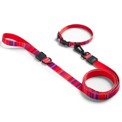 Red Stripe Dog Leash