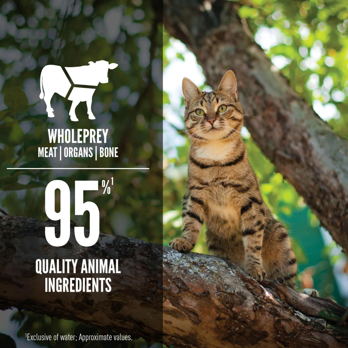 Regional Red Entree Adult Cat Food