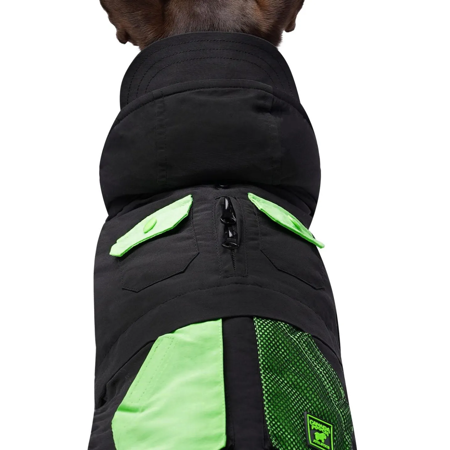 ReNew Black Parka
