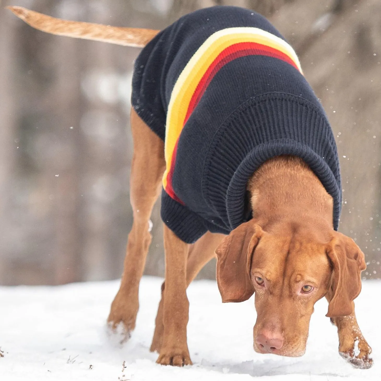 Retro Navy Sweater