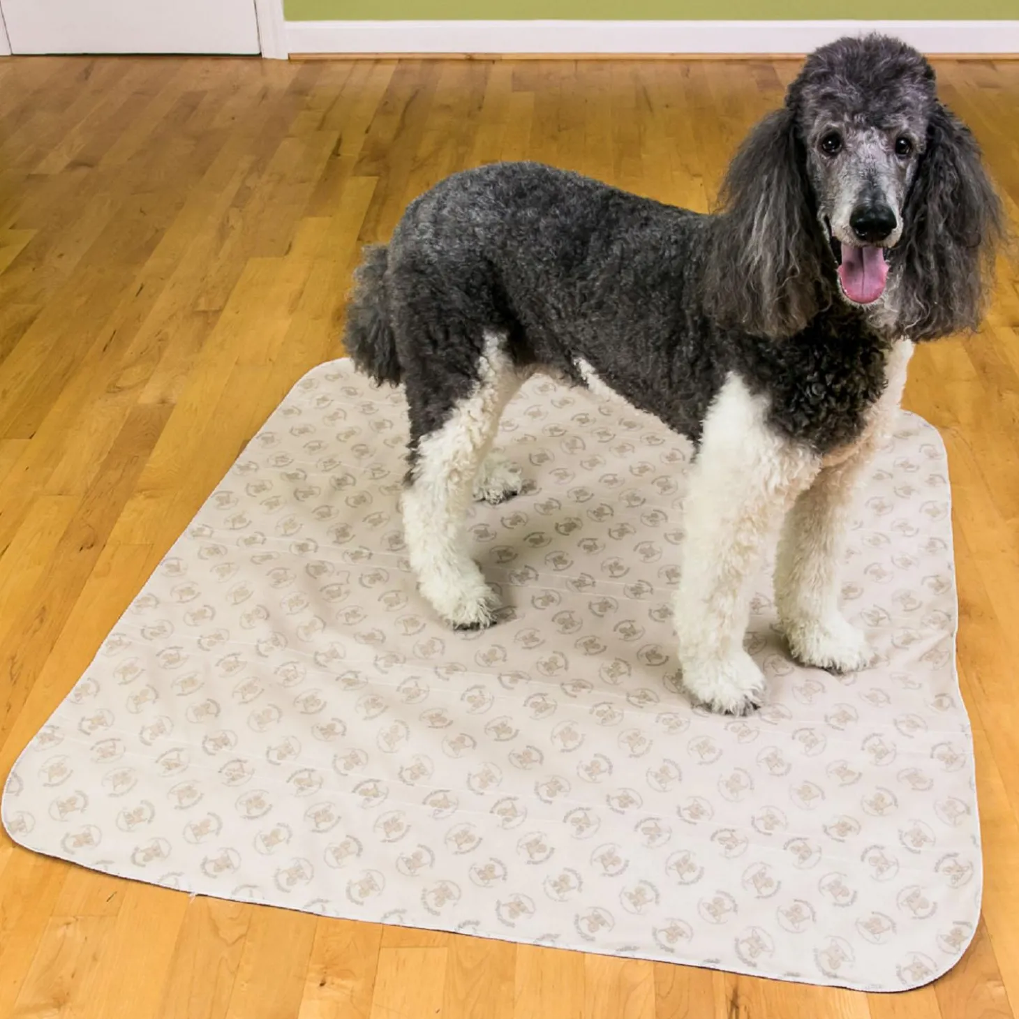 Reusable Potty Pad