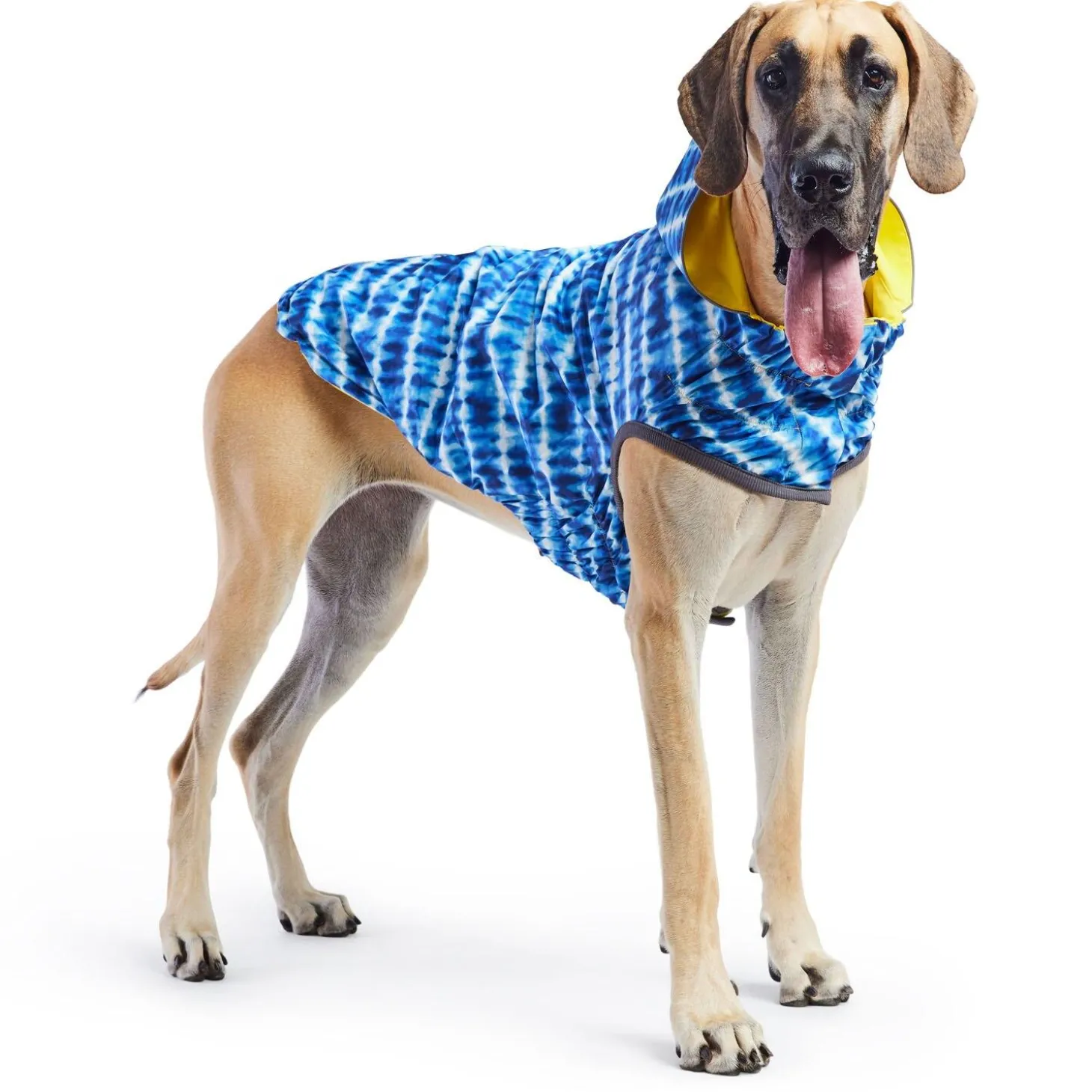Reversible Elasto-Fit Yellow & Blue Raincoat