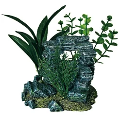 Rock Arch
