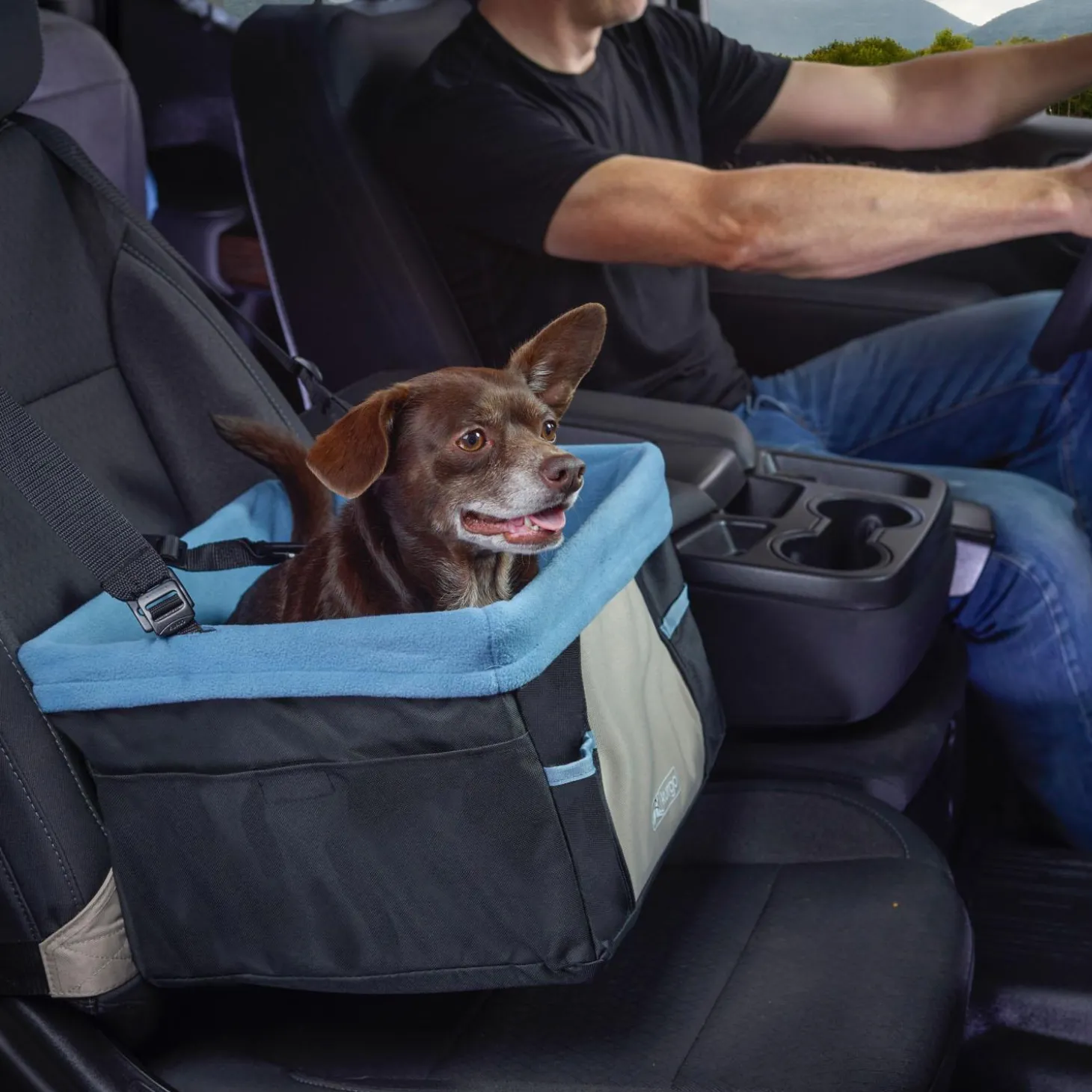 Rover Black & Blue Dog Booster Seat