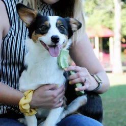 Safari Dog Massage Brush