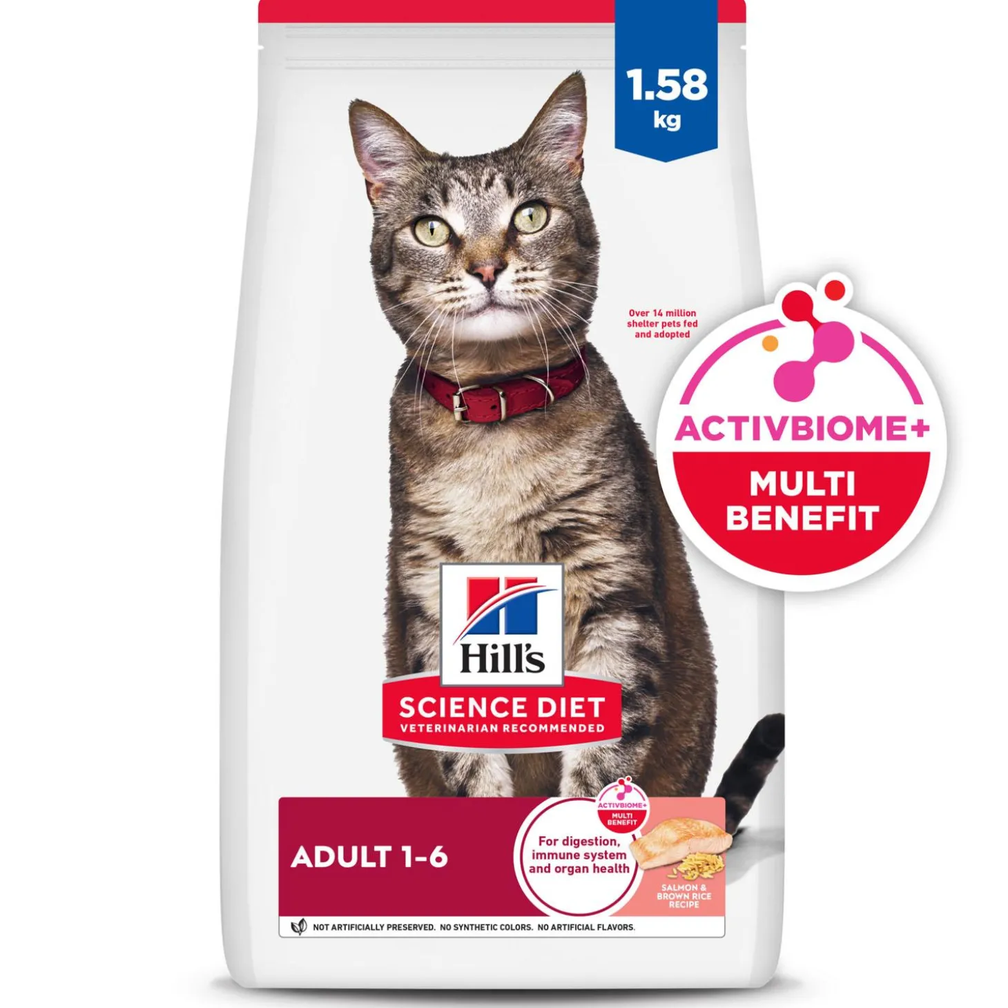 Salmon & Brown Rice Recipe Adult Cat Food