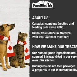 Salmon Dog Treats