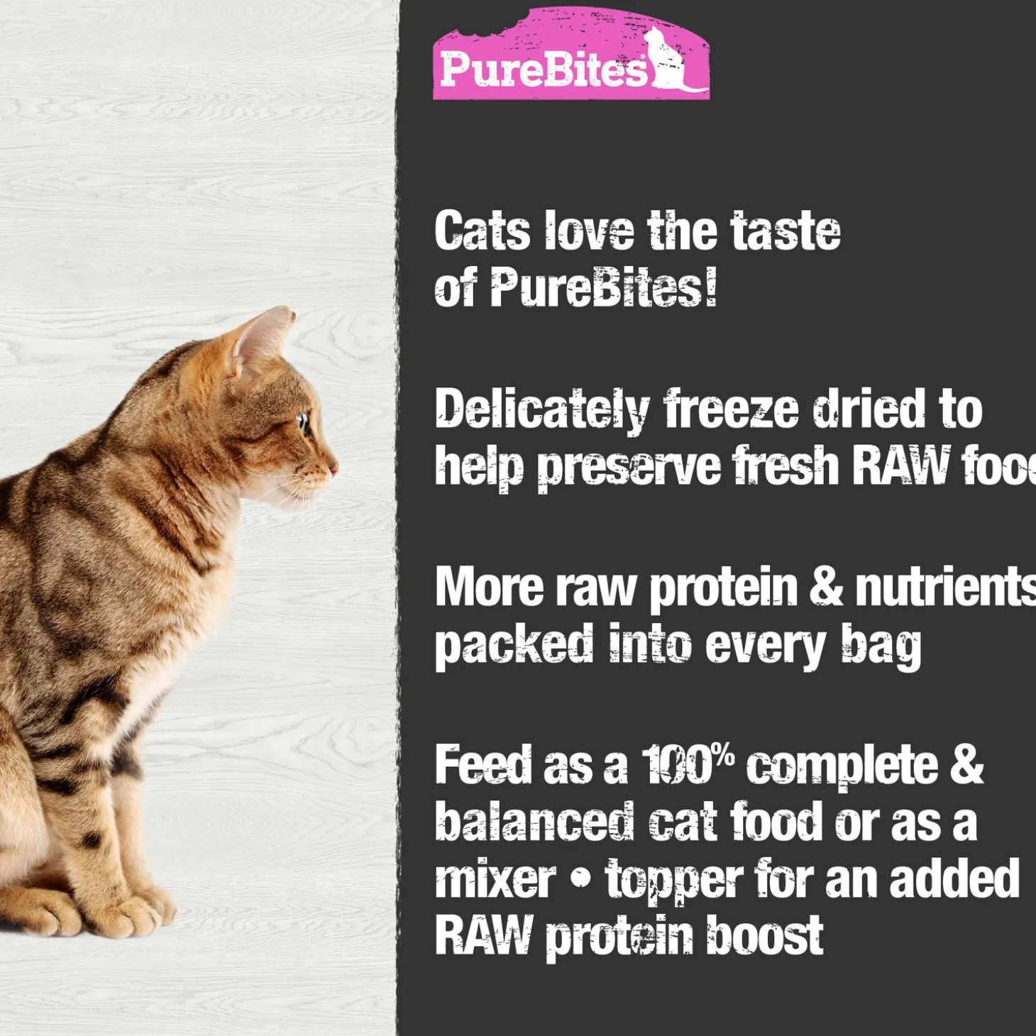 Salmon Recipe Cat Food Topper